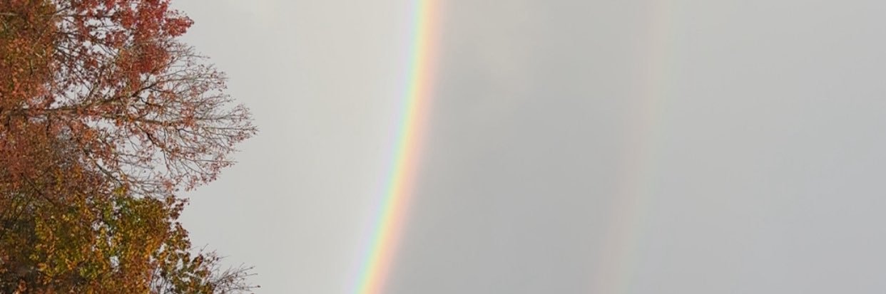 bdeg21's profile banner image
