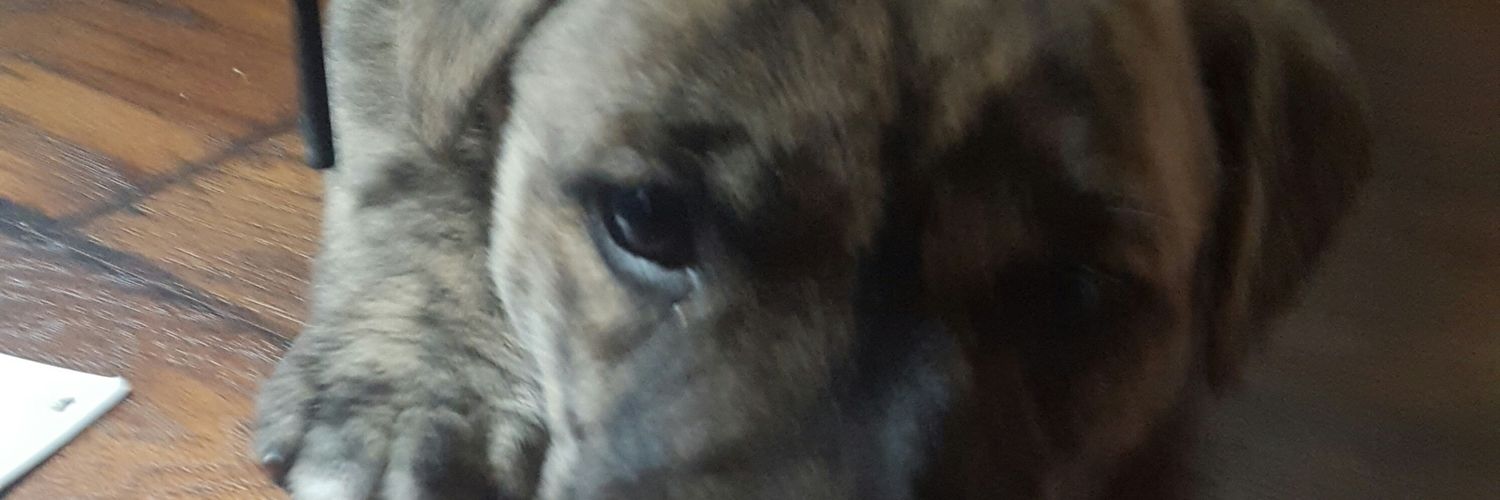 Peanut_1130's profile banner image