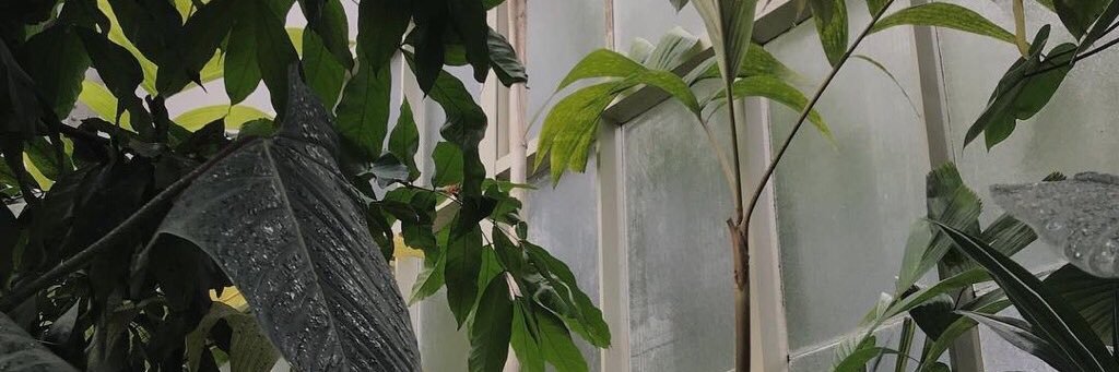 lnfrml's profile banner image
