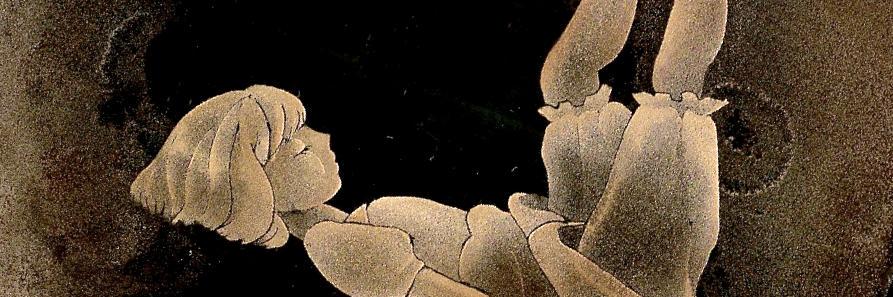 layna511's profile banner image