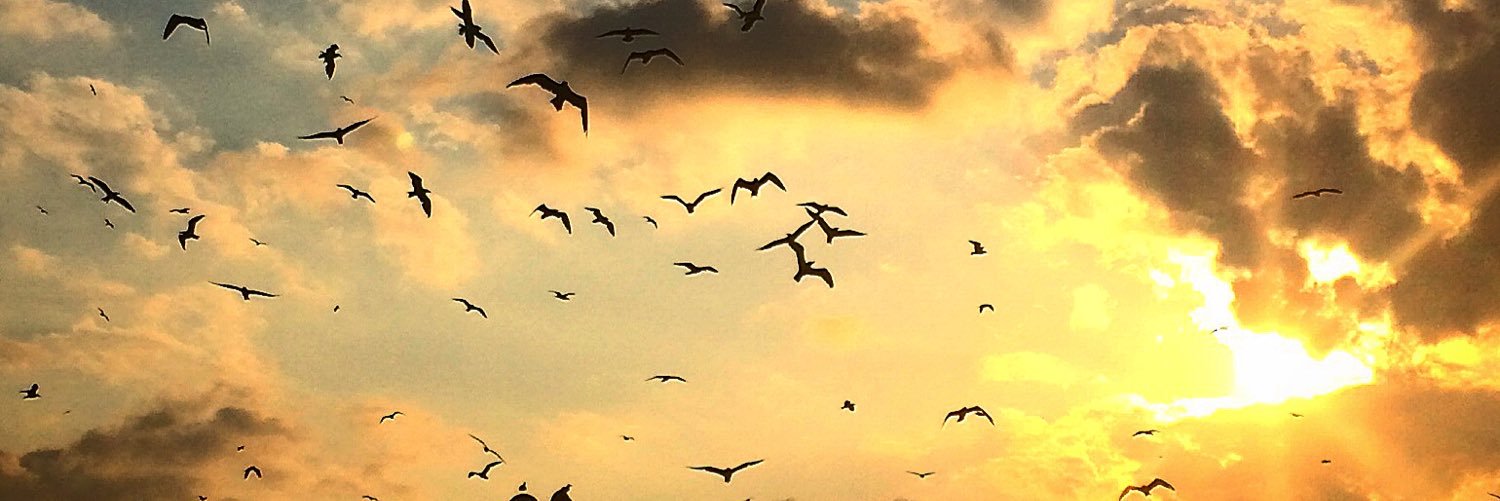 for_kucu's profile banner image