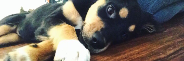 AlexHelms1's profile banner image