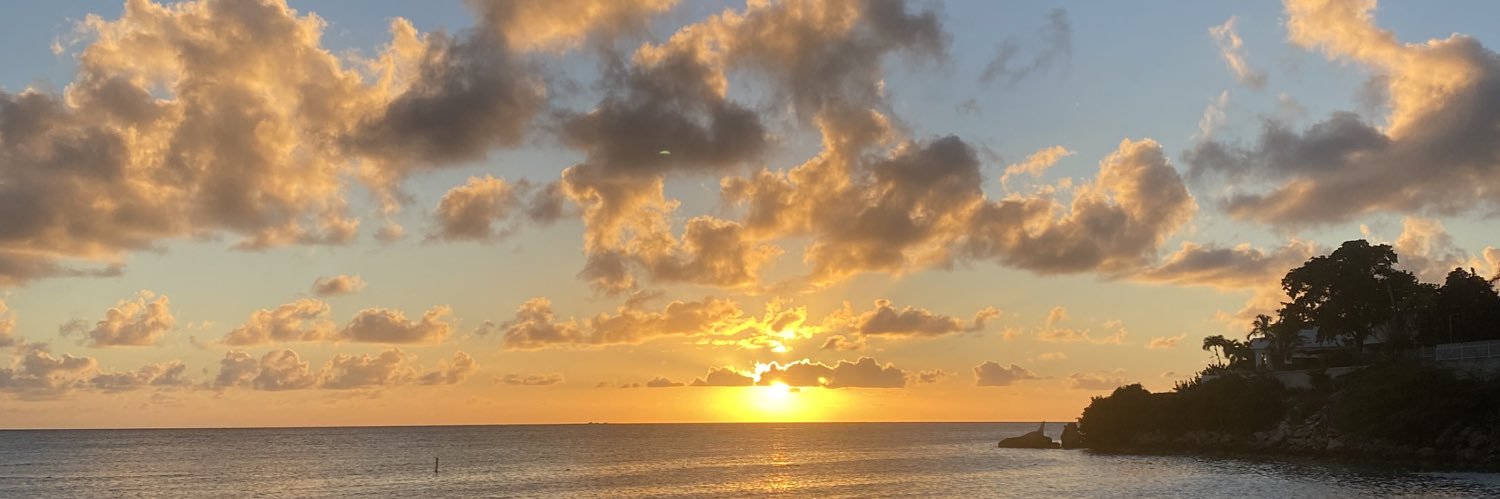 zuldopr's profile banner image