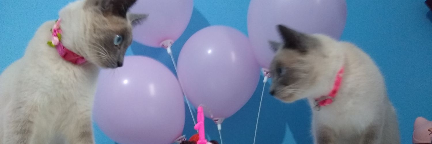 agnesseguras's profile banner image