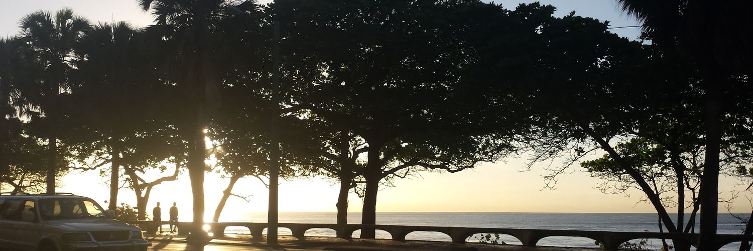 laliss28's profile banner image