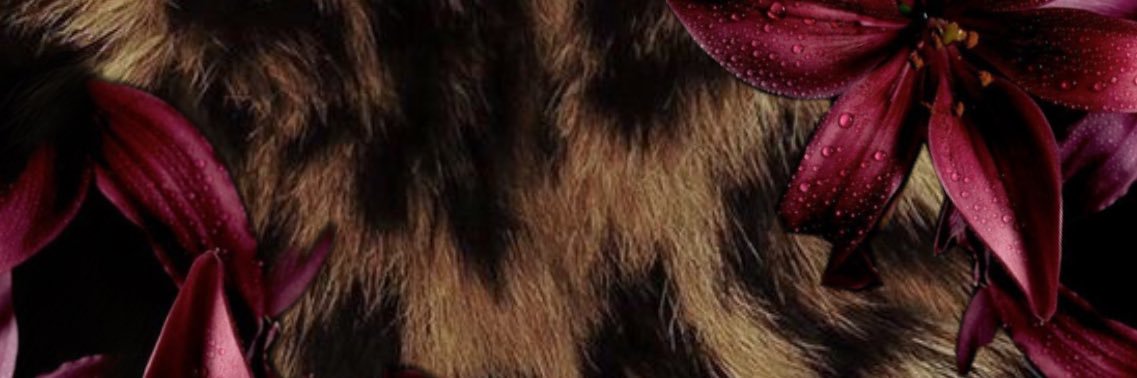makailaahh's profile banner image