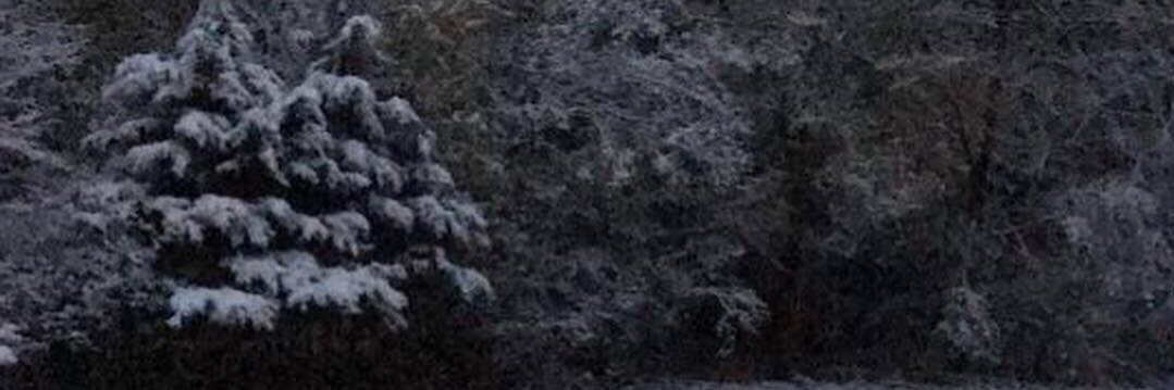 RyanThayer19's profile banner image
