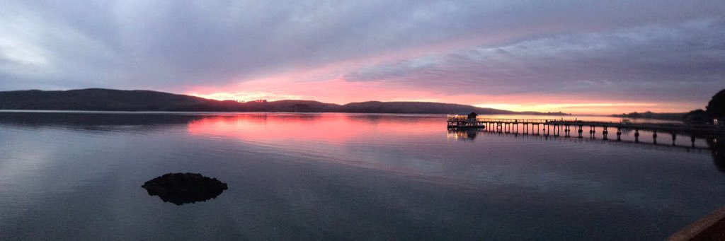 Stephane Wyper banner