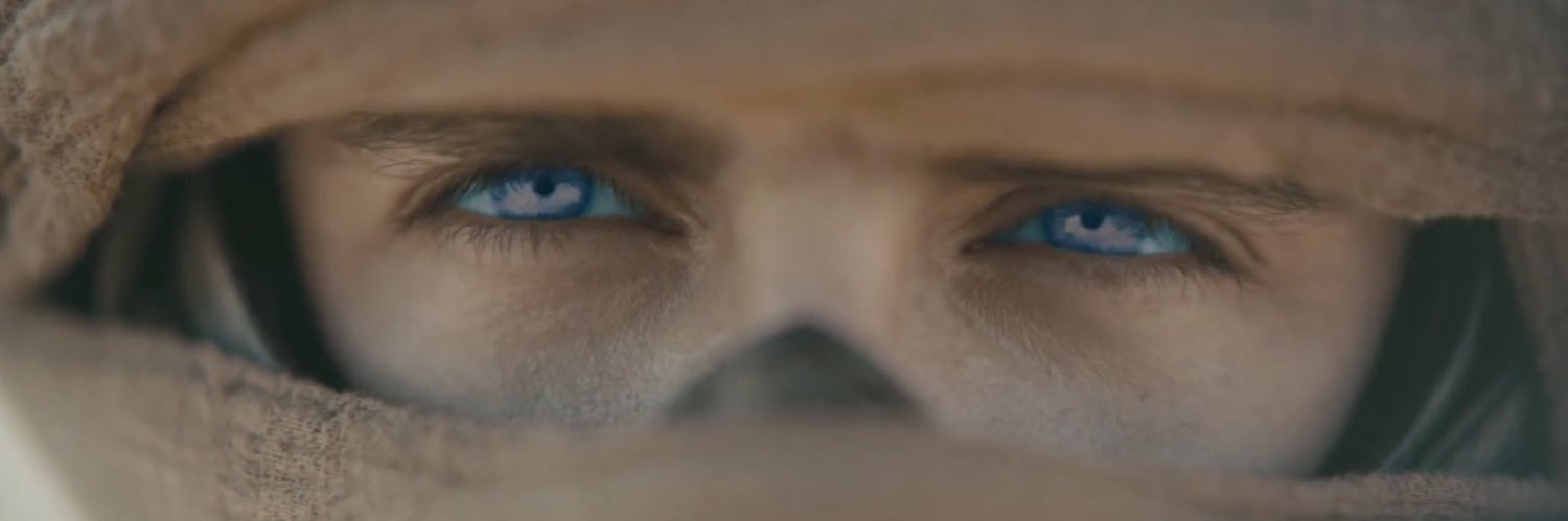 brwncprcrn's profile banner image