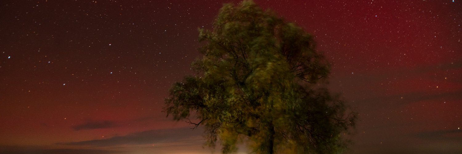 sapatrylo's profile banner image