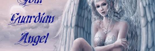 kim banner