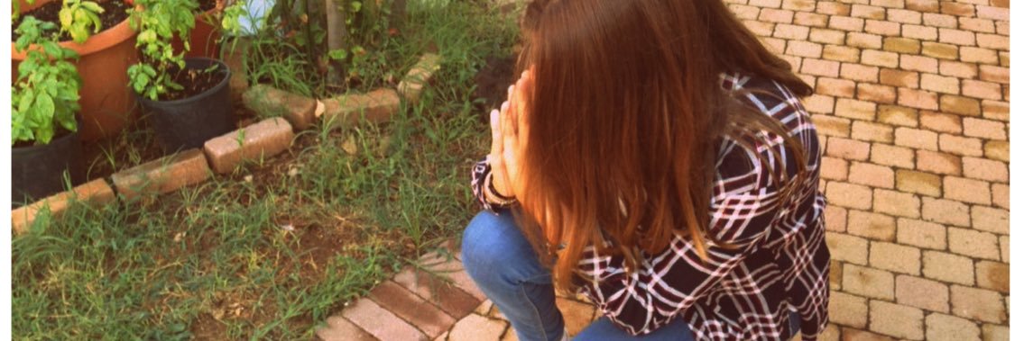 Ginevrins's profile banner image
