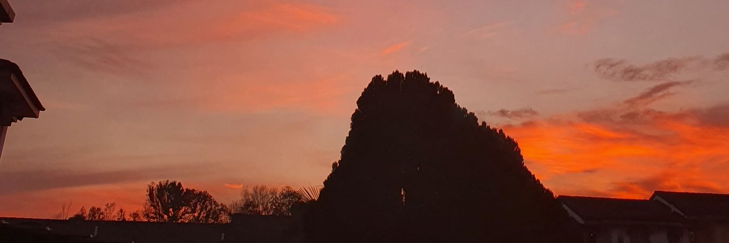 txchee's profile banner image