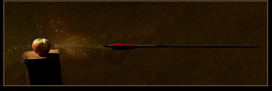 tgnybgu's profile banner image