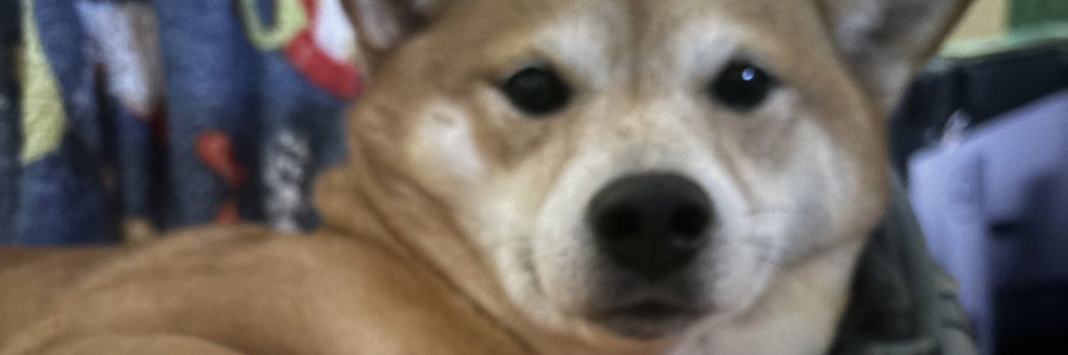 Tatonom's profile banner image