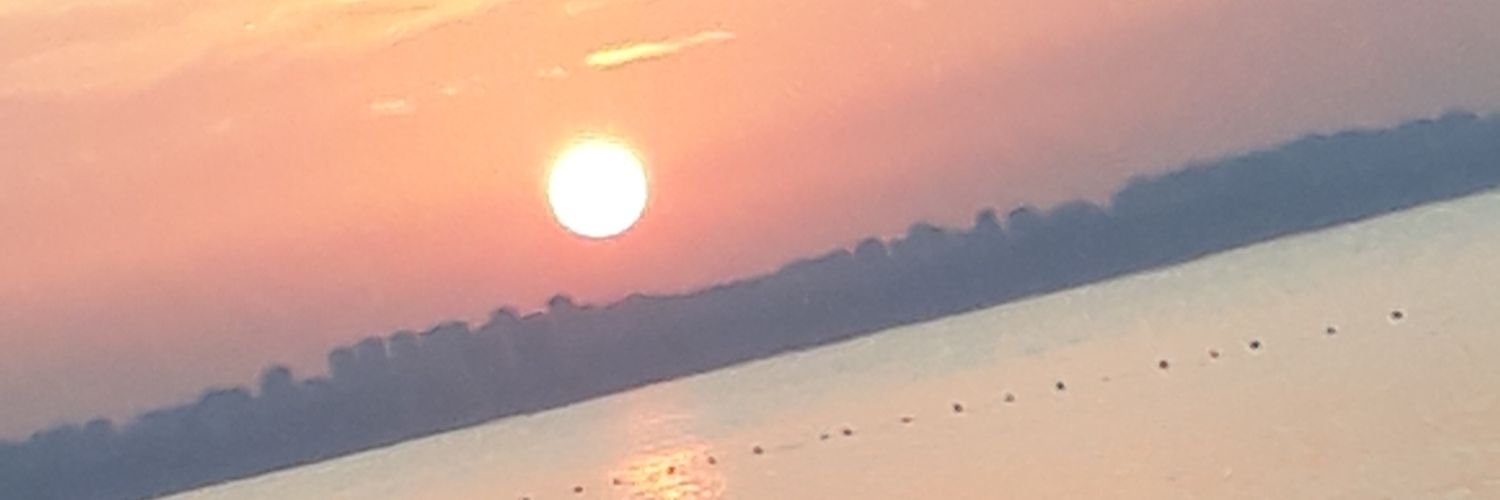 kuscy_'s profile banner image