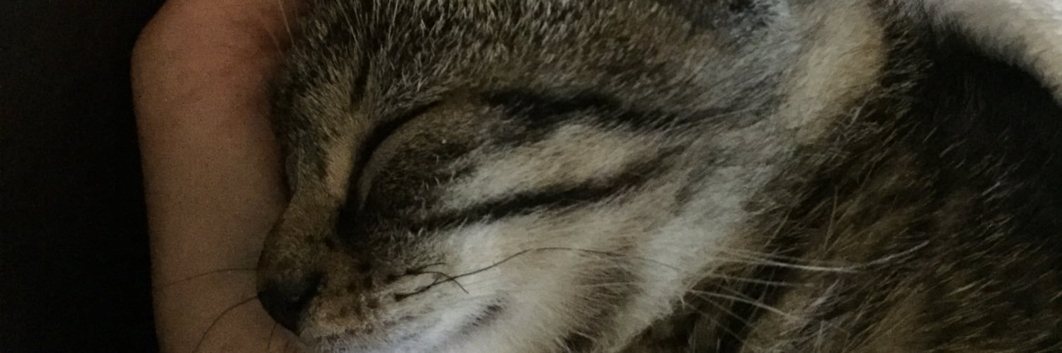 LS_Scotland's profile banner image