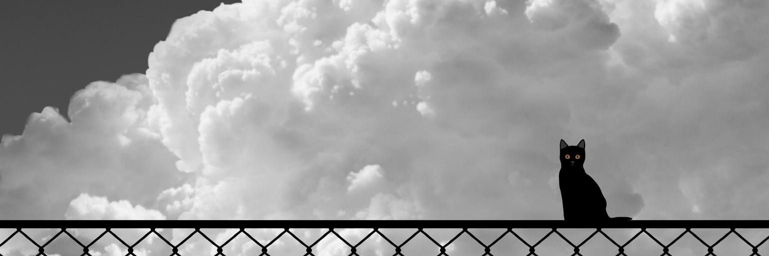 Aliceburada's profile banner image