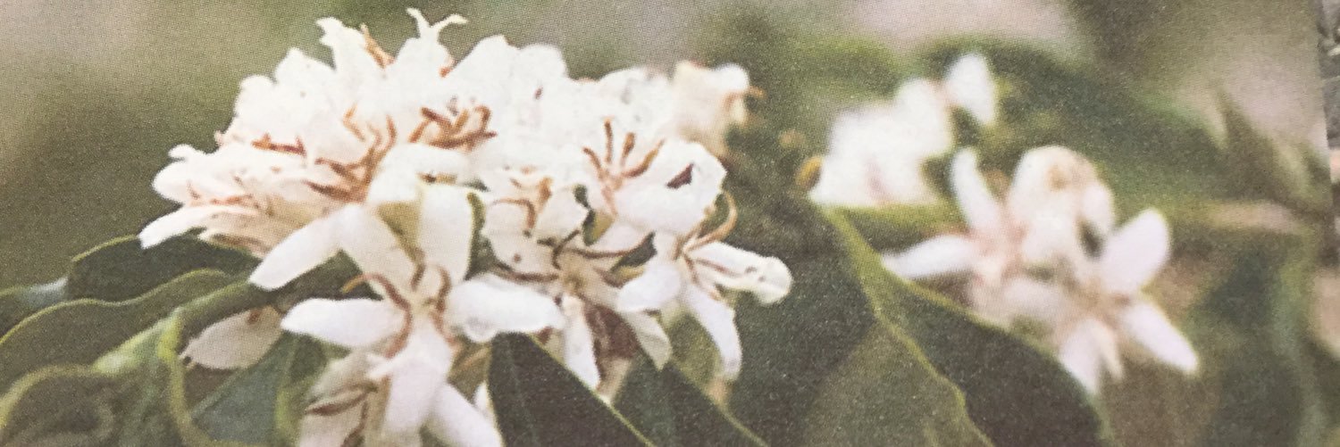 keiandhiro's profile banner image