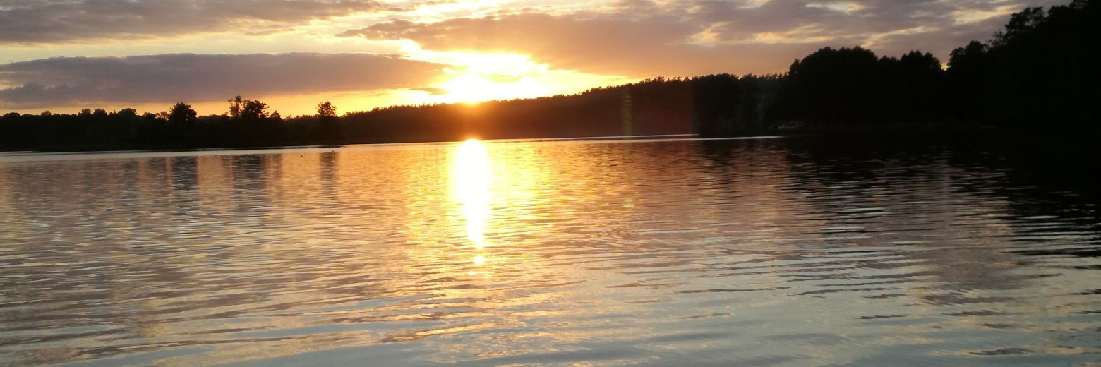 witeksd53's profile banner image