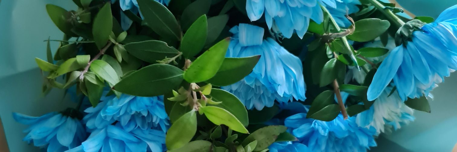 bakbaba75's profile banner image