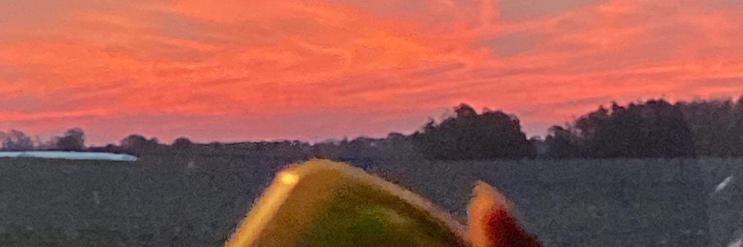gianeceparo's profile banner image