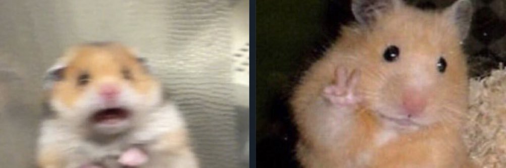 eileenwidit_'s profile banner image