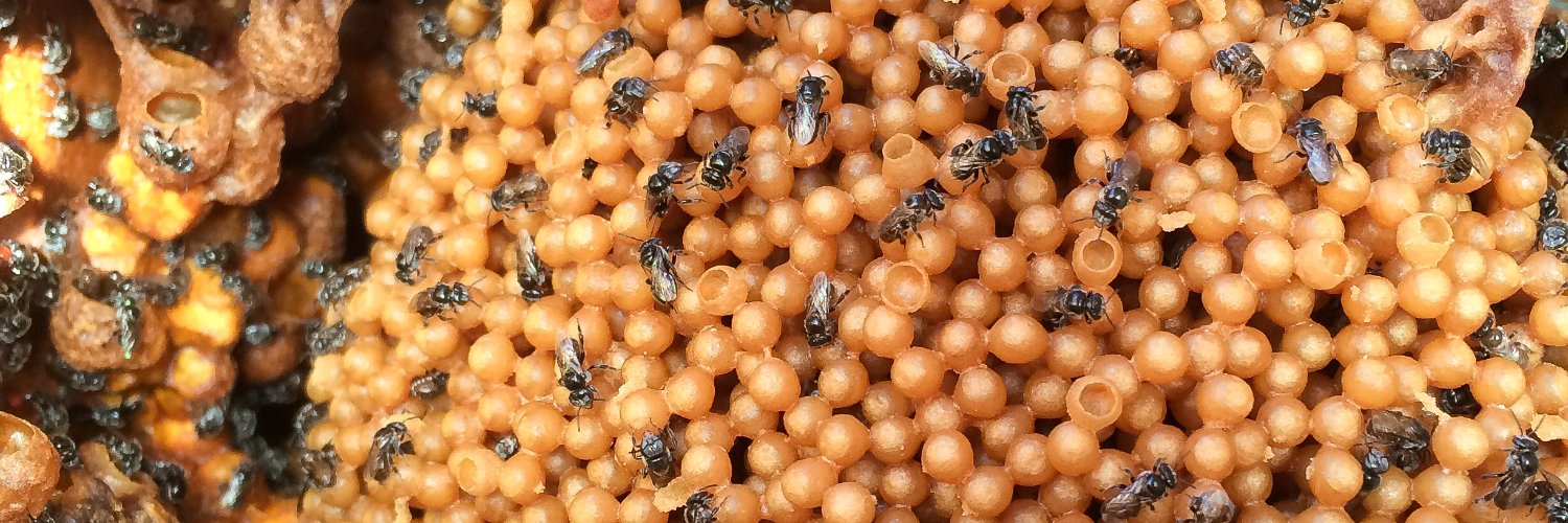 Dr Tobias Smith banner