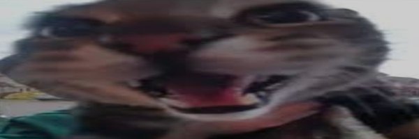 KrazyGH Profile Banner