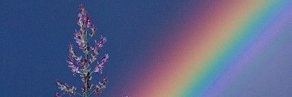 cyliaaf's profile banner image