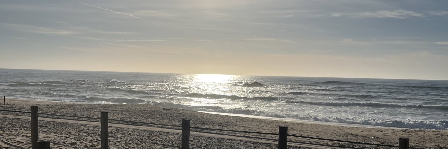 Margot_srr's profile banner image