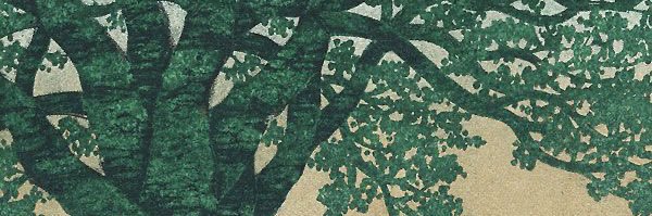 ladybiird's profile banner image