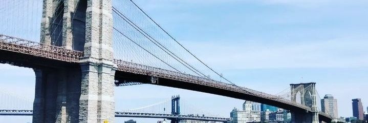 Loisleft's profile banner image