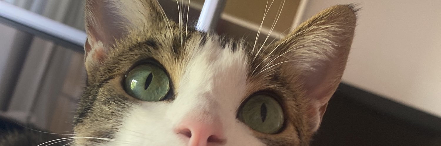 PriscilaFalconi's profile banner image