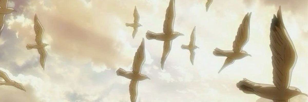 Vin banner