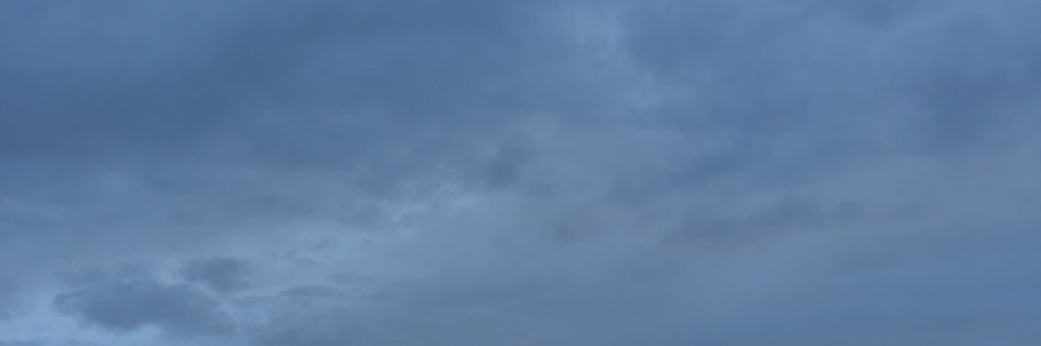 louiselbchr's profile banner image