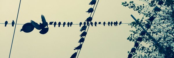 DejNikolic Profile Banner