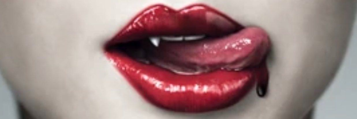 SookieStack53's profile banner image