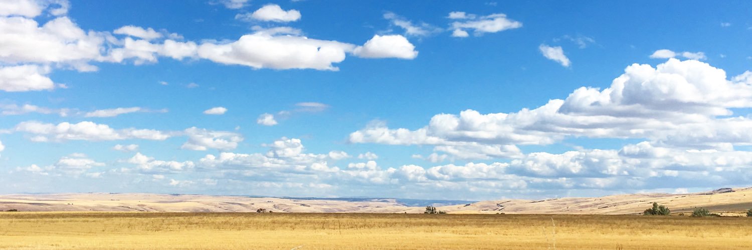 EmilyUecker's profile banner image