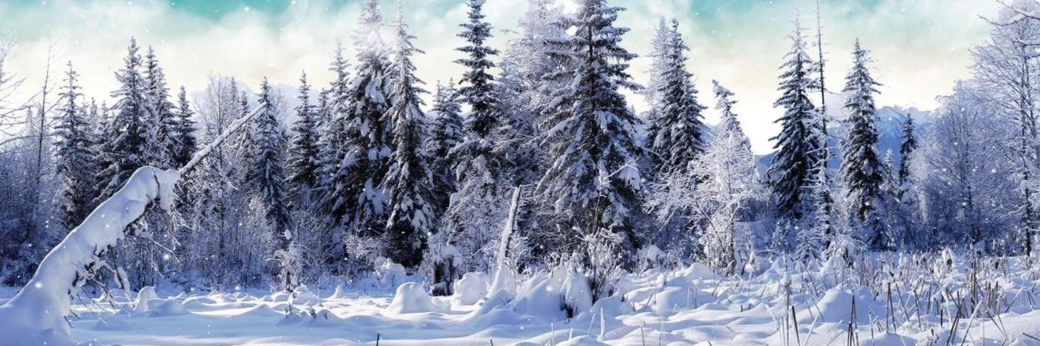 RyanWx banner
