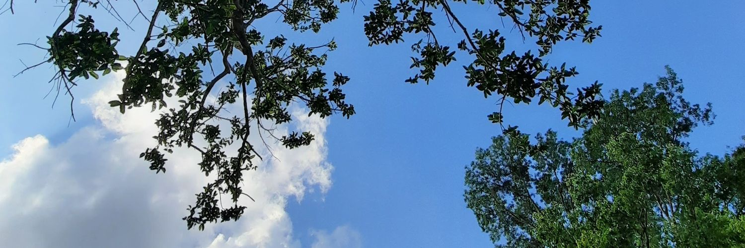 mufftt's profile banner image