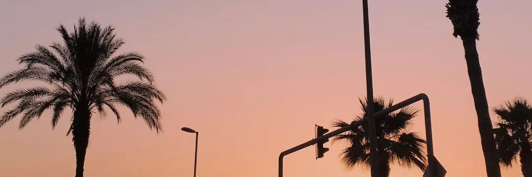 Seliinsumen's profile banner image