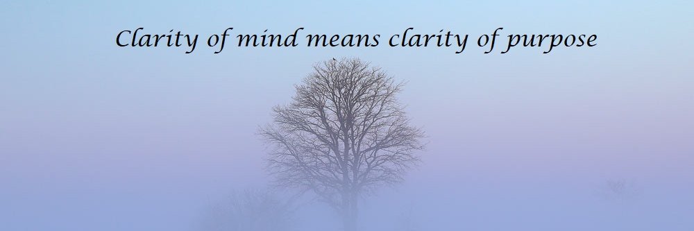 rcmorey's profile banner image