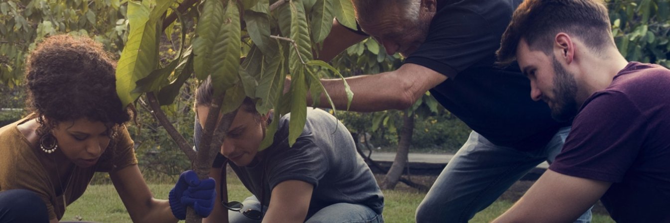 Fundación Triodos (cuenta inactiva) banner