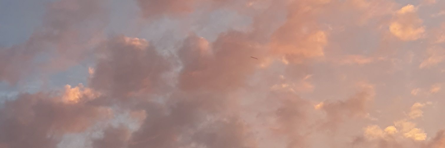 monkeygrrl98's profile banner image