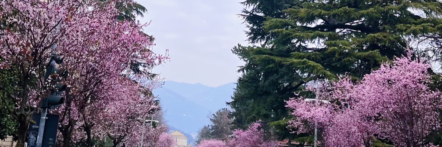Alghawi_H's profile banner image