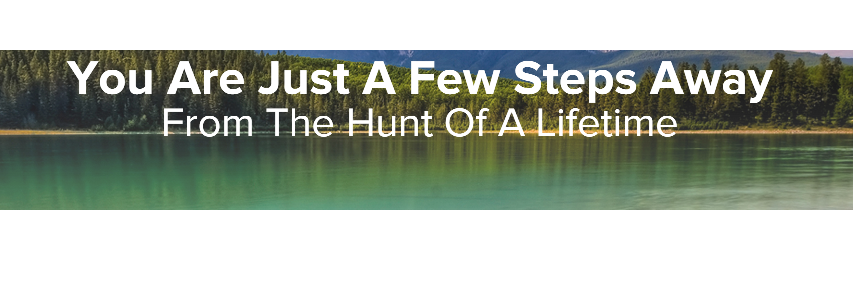 EasyToHunt1's profile banner image