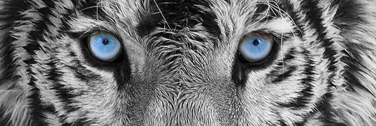 div47's profile banner image