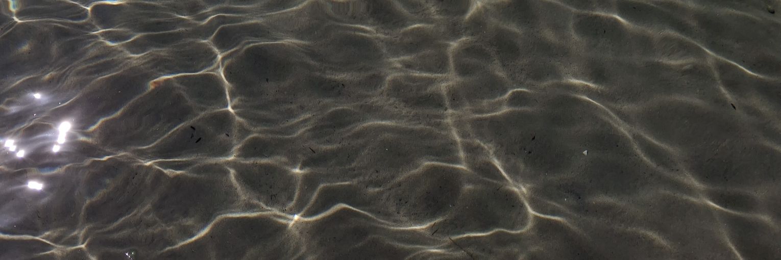 sinemsann_'s profile banner image