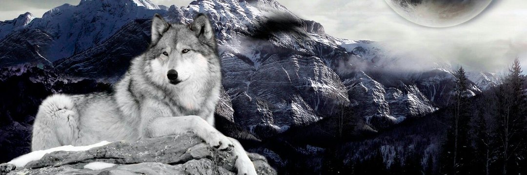 TuranciKatun's profile banner image